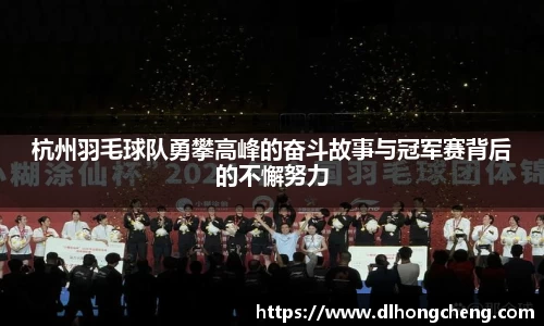 南宫NG·28