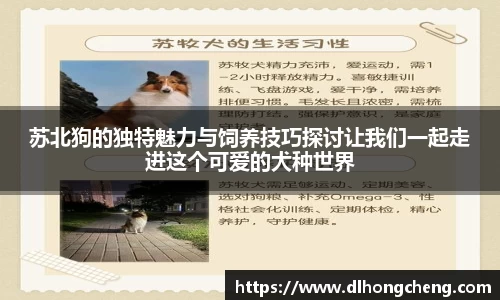 南宫NG·28体育
